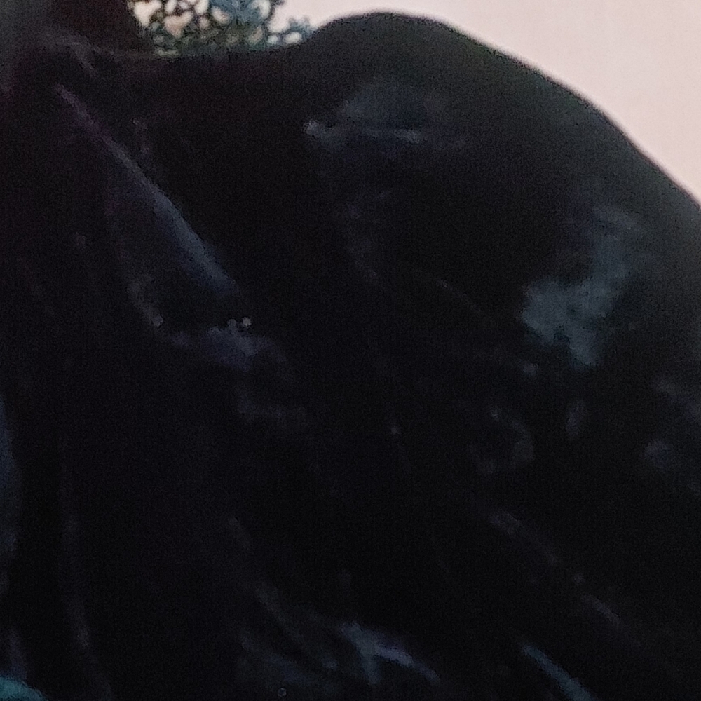 Crushed Velvet Lace Blouse Green Teal XS High Neck - Picture 10 of 13